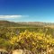 seen from Wilpena Pound