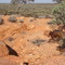 Sandstone - Shaft for lowering Beer Kegs into Cave
