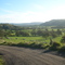Sheean Creek Valley from FernHills Rd Corner