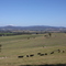 View looking North East from Mt. Sugarloaf