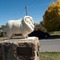 Strathbogie Town Centre