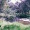 Seven Creeks Reserve - bush camp