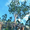 Como Pleasure Gardens