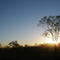 sun up