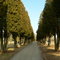 Birmingham Lafayette Cemetery