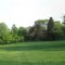 dog park