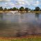 Golden Ponds