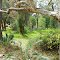 Baldivis Children's Forest
