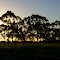 Karnup Road