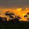 Lowlands sky