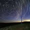 Turo stars by David Gibbs