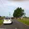 Cattle crossing
