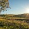 Sunset at South Grafton, NSW.