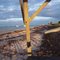 Shark Bay  Western Australia