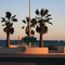 Shark Bay / Abendstimmung