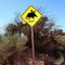 Special traffic sigs inside Francois Peron National Park