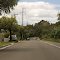 Loftus Ave, Loftus