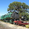 ANZAC Day Steam Siesta