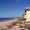 Indented Head
