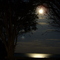 Australia - St.Leonards,  Full Moon over the Bay on Bluff Road
