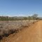 King Leopold ranges