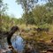 Small creek 2