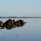 The morning quietness on the bank of tassie