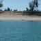 Croc on Shore,Cobourg Peninsula, NT
