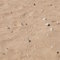 Goanna Tracks, Cobourg Peninsula, NT