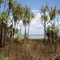 Shark Bay, Melville Island (Tiwi Islands)