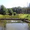 Diamond Lake foot bridge