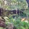 Water hole