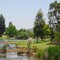Stanthorpe