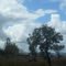 Rural bliss;