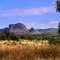 Springsure Nth Central Qld