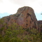 Virgin Rock Mt. Zamia
