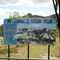 Virgin Rock Mt. Zamia