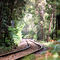 Abt Raiway line at King's River mouth