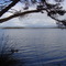 Maquarie Harbour View
