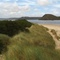 Landschaft vom Winde verweht