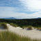 Henty Dunes