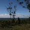 Humbug Point