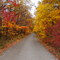 Autumn on Skyline Drive - 10-14-2008 096