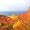 Autumn on Skyline Drive - 10-14-2008 006