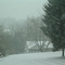 Snowfall - Feb. 12, 2007 005