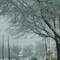 Snowfall - Feb. 13, 2007 009