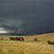 Rainstorm near Wagga