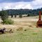 All that still stands: Wagga Wagga