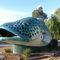 Giant Murray River Cod - Swan Hill