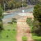 Swan Hill upline